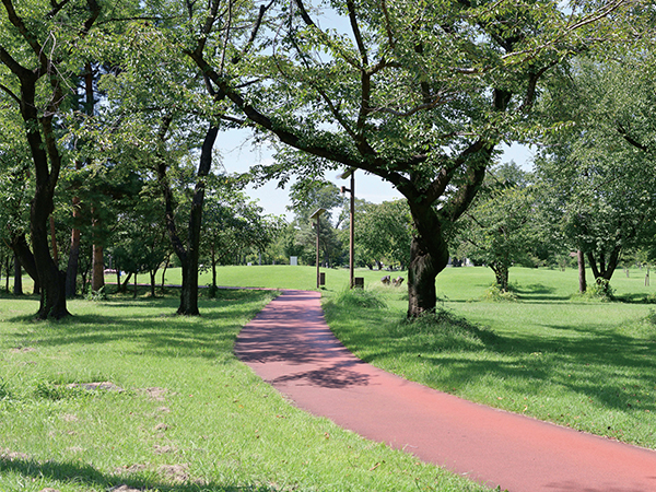 Saitama Prefectural Wako Forest Park