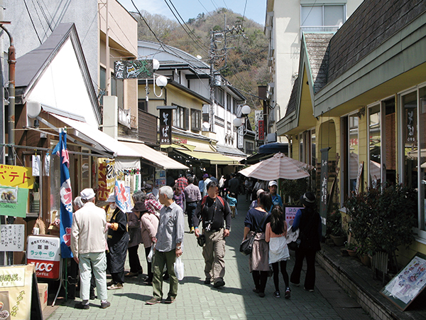 Nagatoro Iwadatami Dori Shopping Street