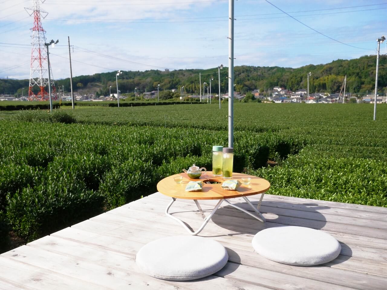 Learn All About Sayama Tea, From Leaf to Drink, in Saitama – Just 1 Hour From Tokyo!