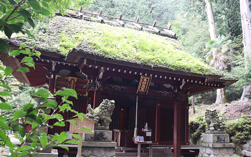 Discover Rare Blowing Zen Meditation at Takedera, Hanno’s Secret Bamboo Temple