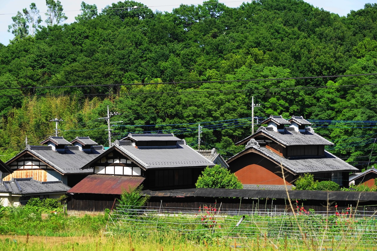 北部地区