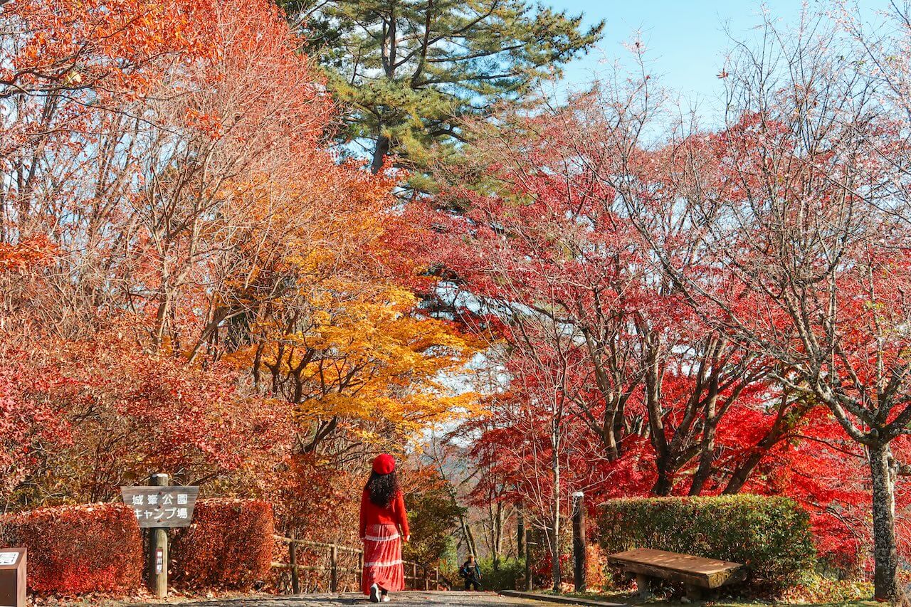 Exploring Northern Saitama: A Journey Into Traditional Japanese Cuisine, Craftsmanship, and Nature