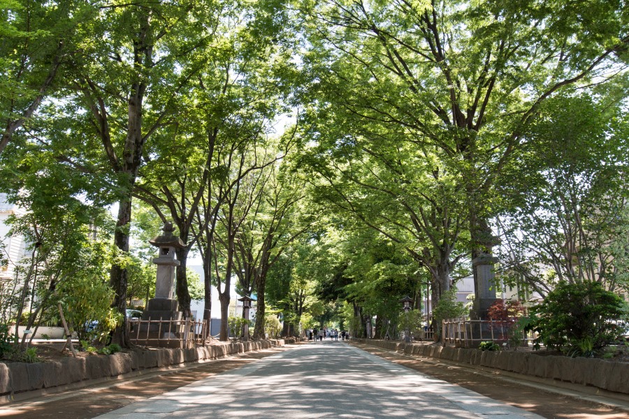 Musashi Ichinomiya Hikawa Shrine