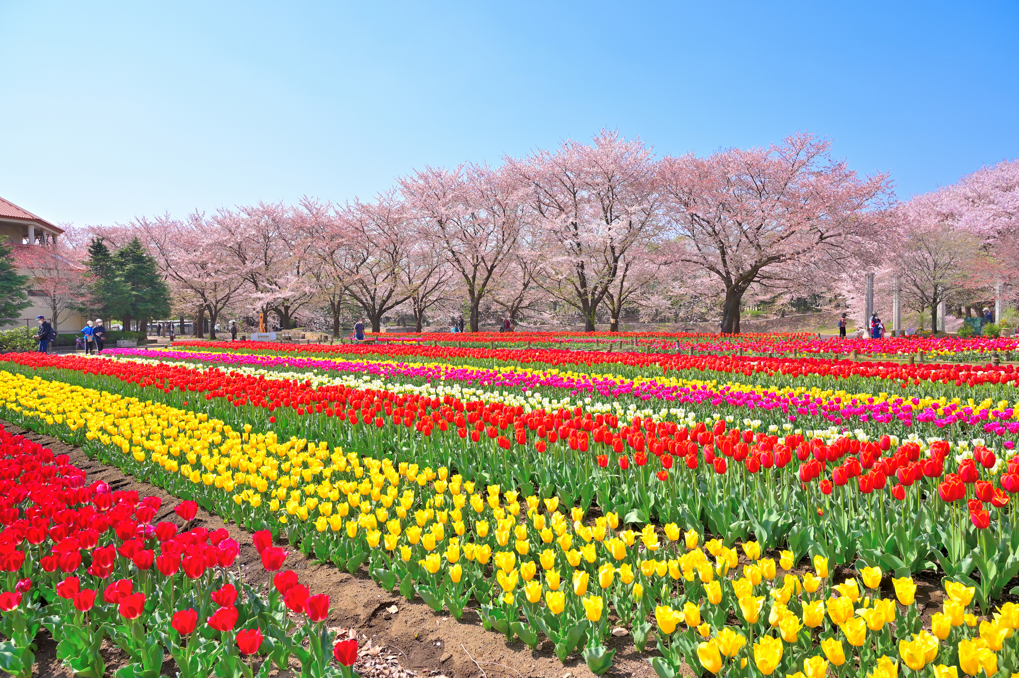 Fukaya Green Park