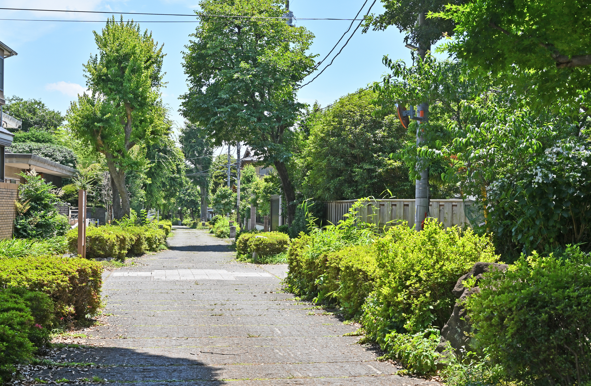 Omiya Bonsai Village