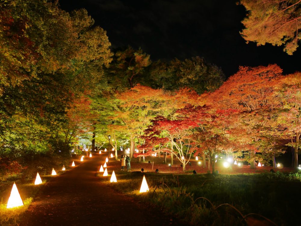 Musashi Kyuryo National Government Park