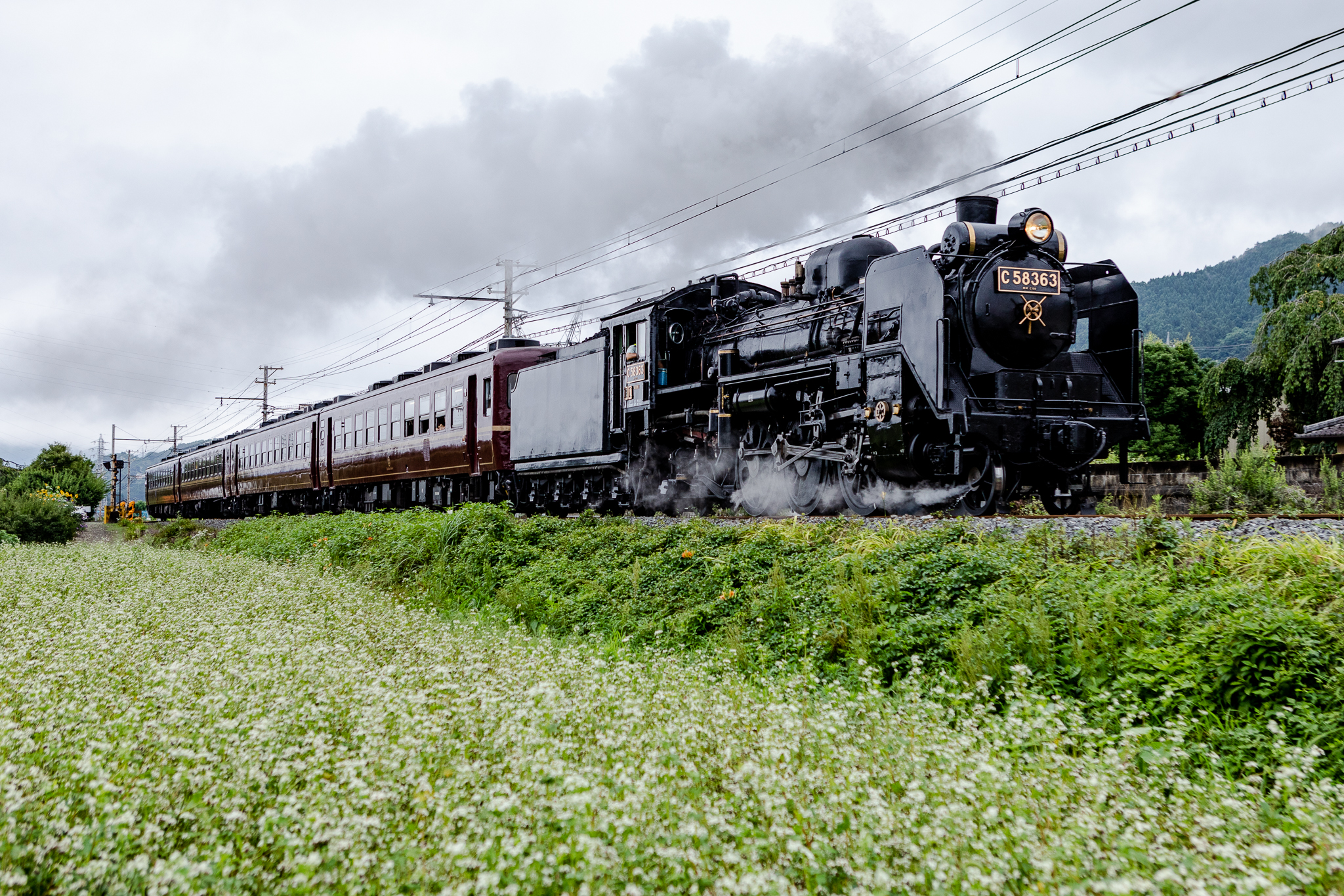 Steam Locomotive (SL) – Paleo Express