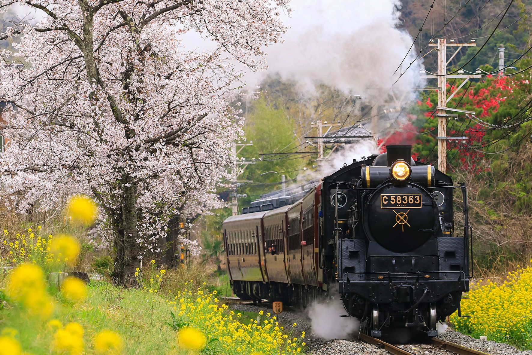 Steam Locomotive (SL) – Paleo Express