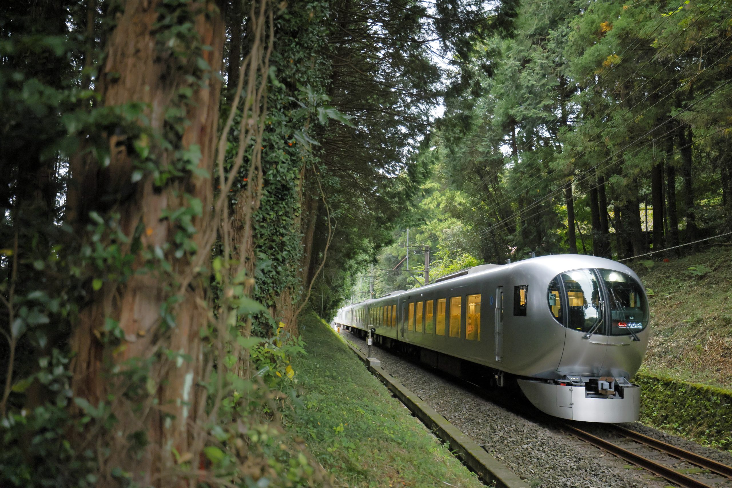 Laview: Saitama’s Futuristic Limited Express Train