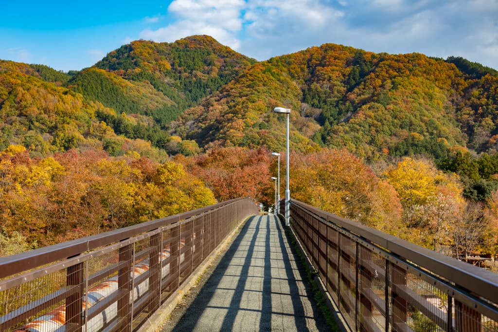 Kanaishi Aqueduct Bridge