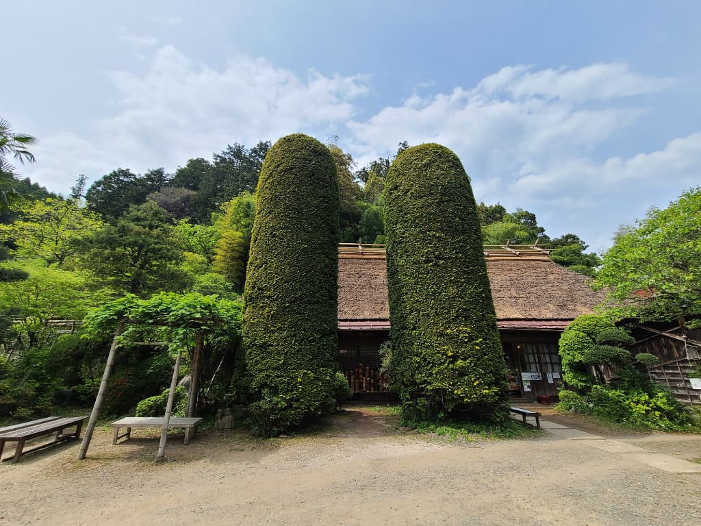 醫王山藥壽院八王寺