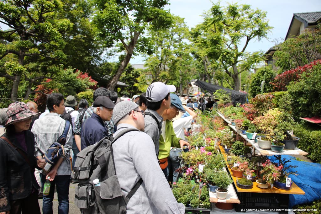 Grand Bonsai Festival